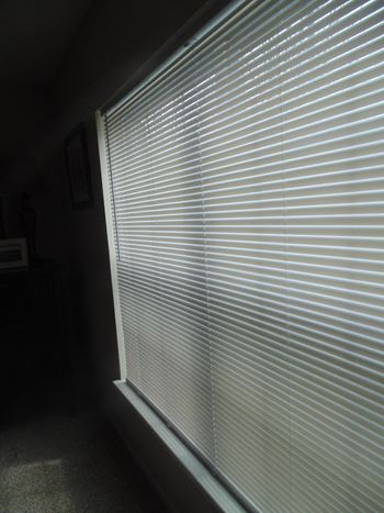 Mini and vertical blinds